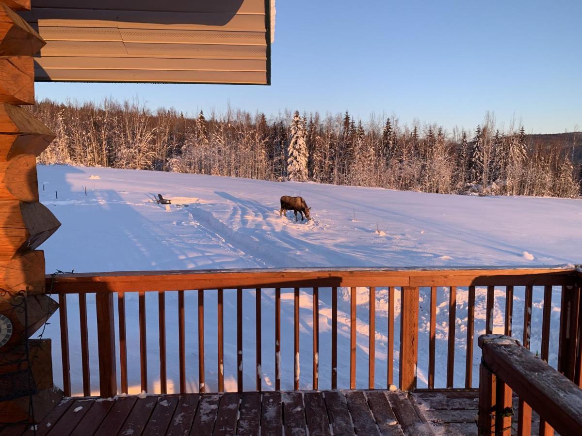 Secluded Log Cabin, 30 Min From Chena Hot Springs Pleasant Valley Esterno foto