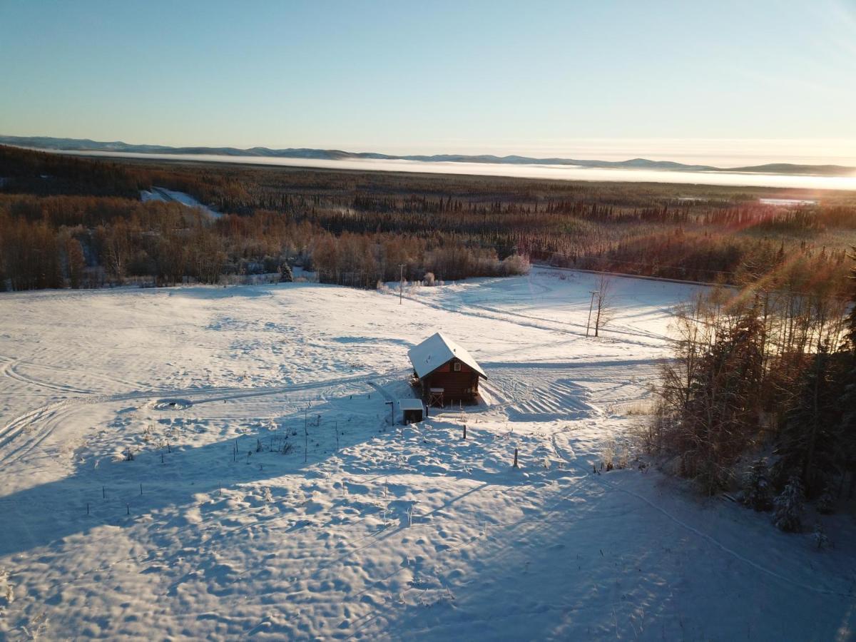 Secluded Log Cabin, 30 Min From Chena Hot Springs Pleasant Valley Esterno foto