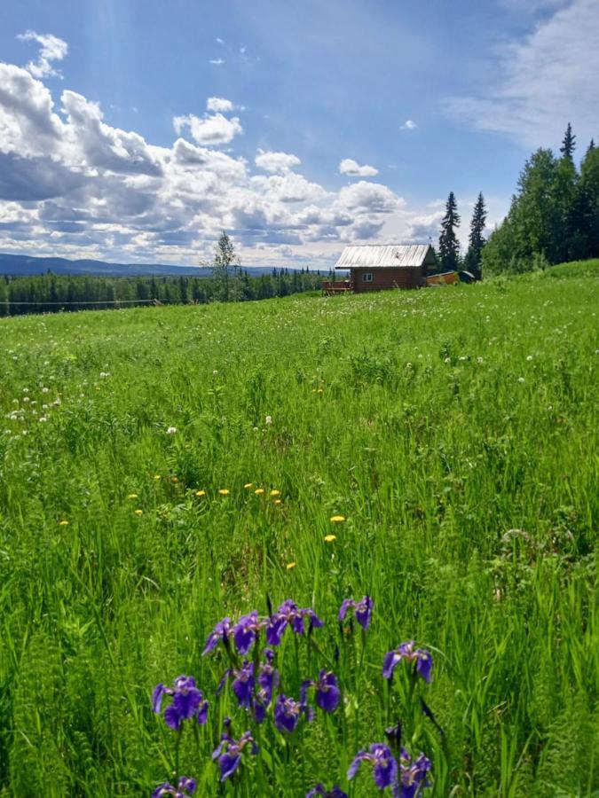 Secluded Log Cabin, 30 Min From Chena Hot Springs Pleasant Valley Esterno foto