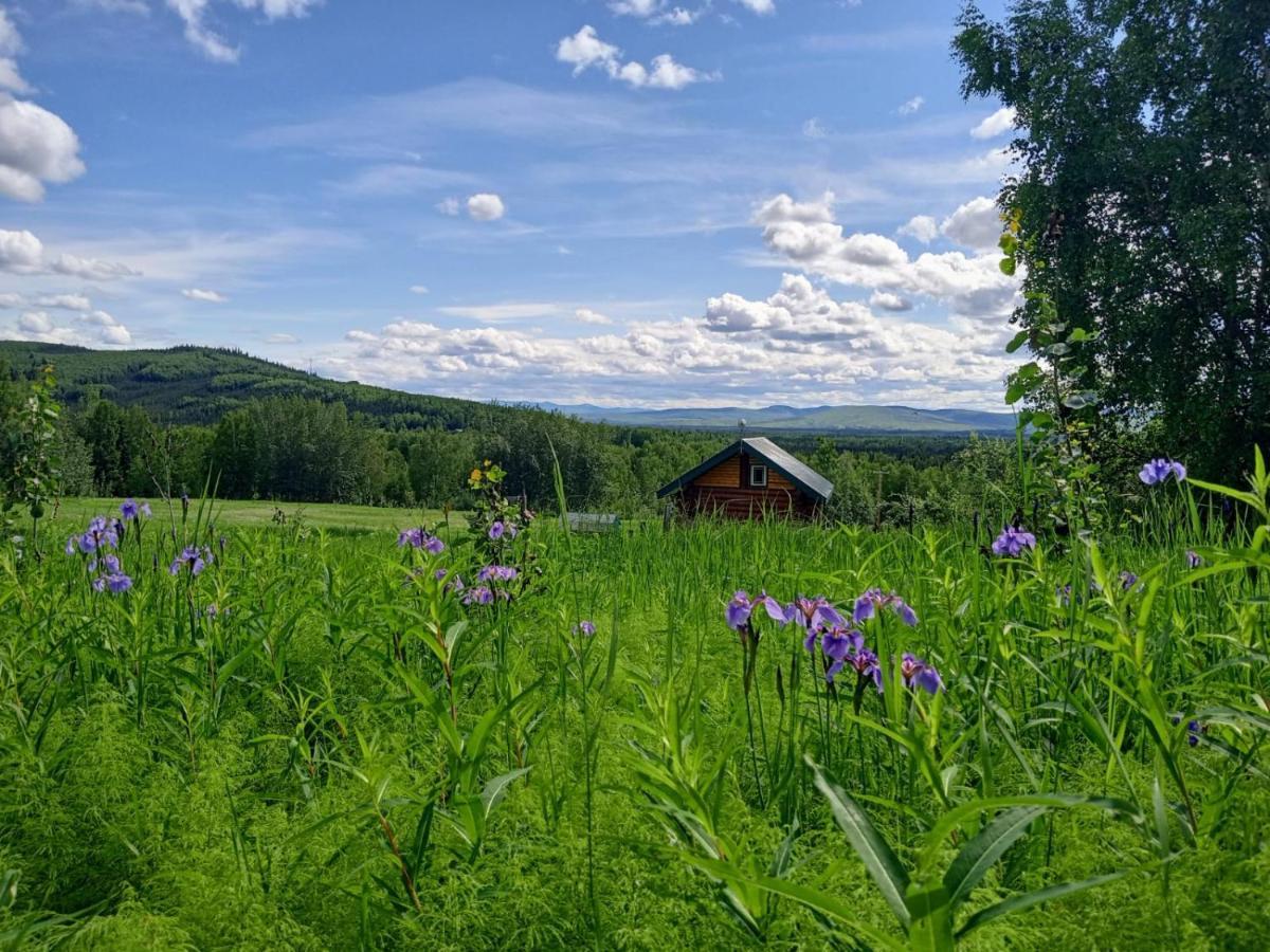 Secluded Log Cabin, 30 Min From Chena Hot Springs Pleasant Valley Esterno foto